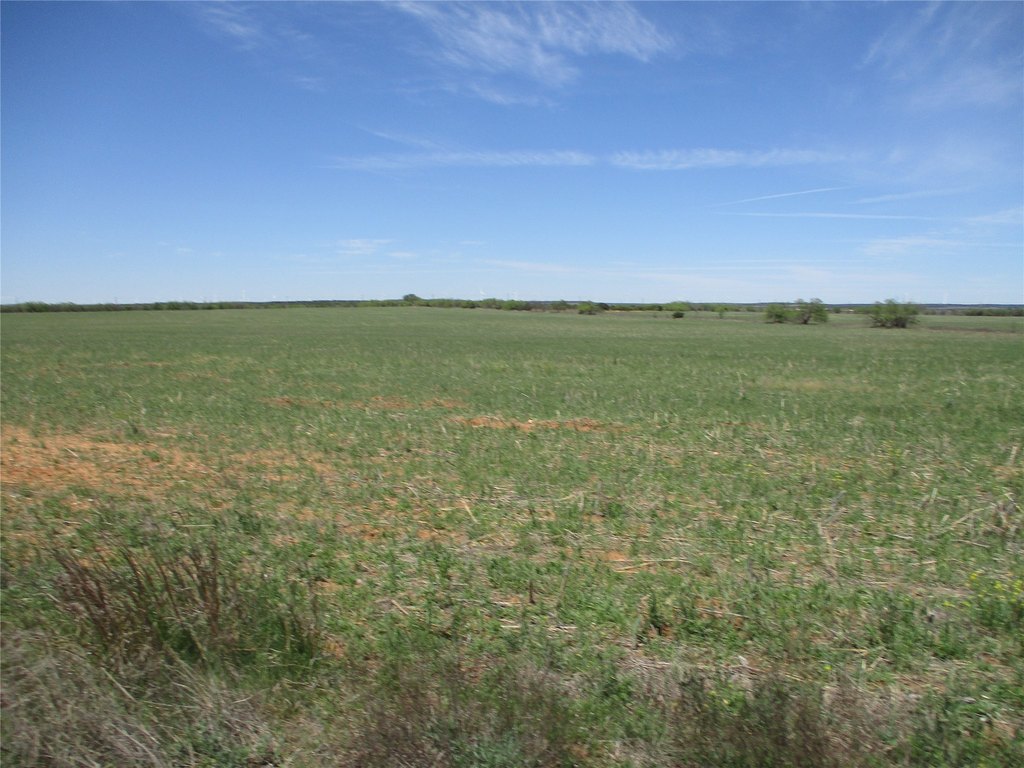 Picture 33