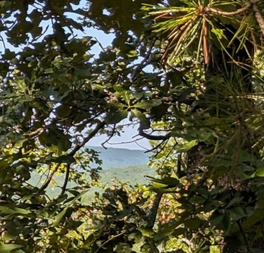 Waterfront Land with Creek Frontage