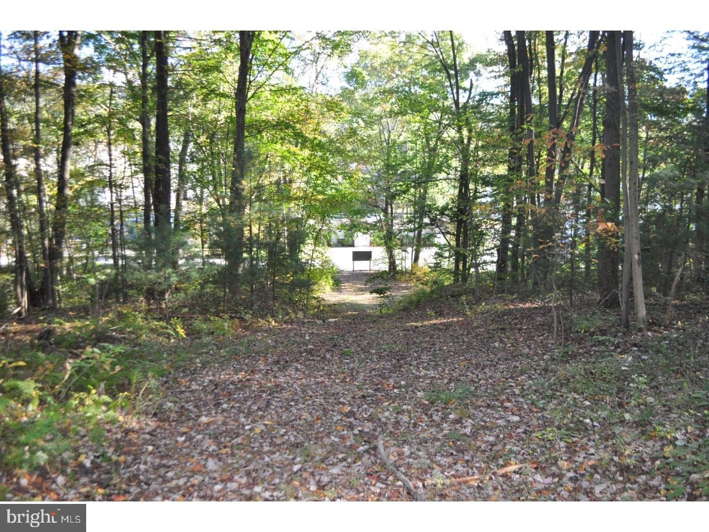Pottsville Wooded Residential Land