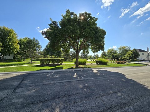 Land, Elgin, IL