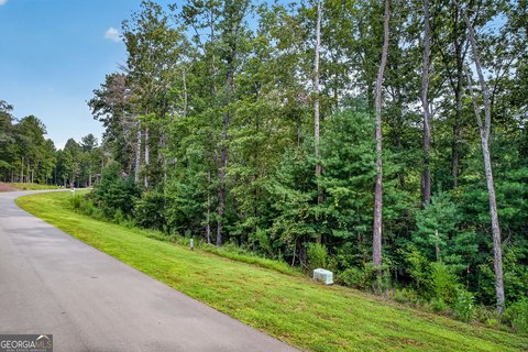 Land, Ellijay, GA