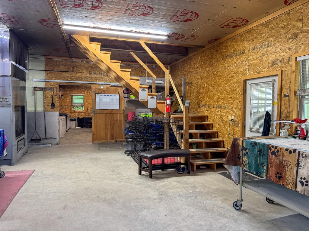 Picture 10