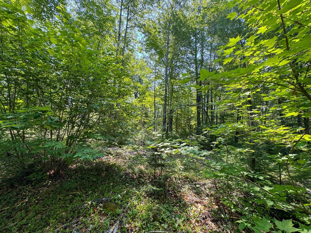 Picture 25