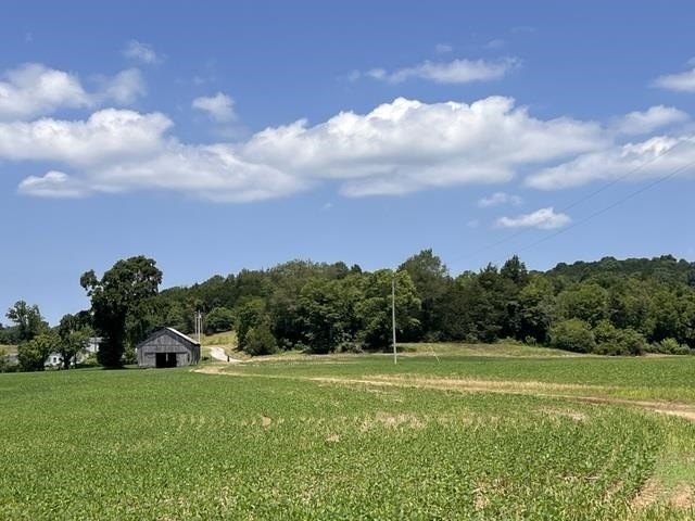 Picture 11