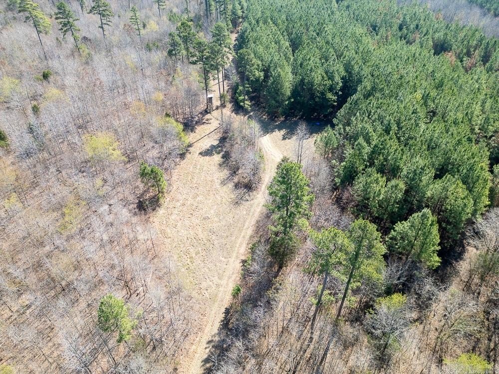 Picture 3
