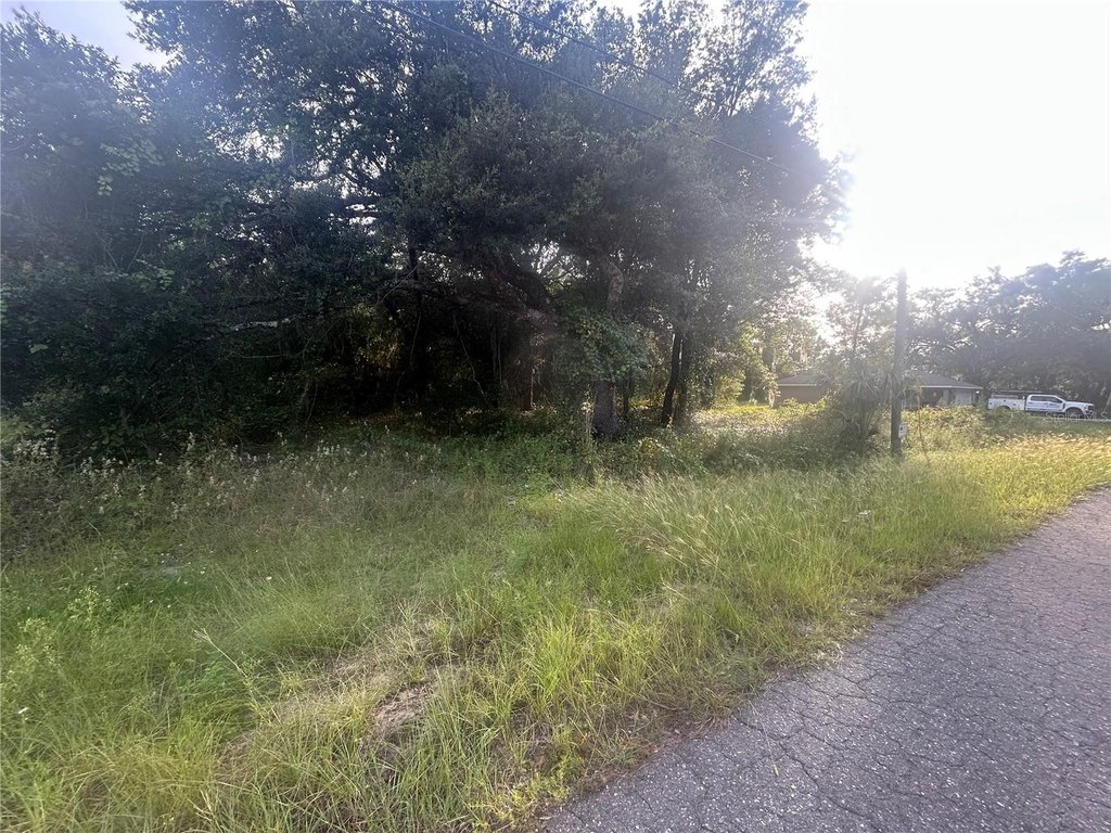 Picture 2