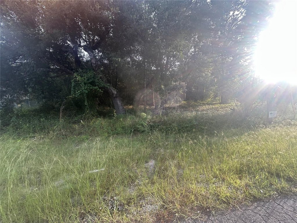 Picture 4