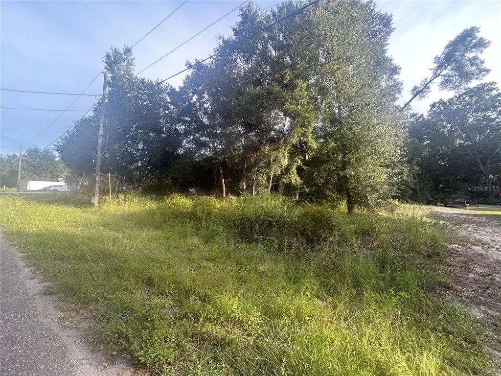 Picture 3
