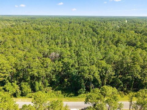Land - EUSTIS, FL
