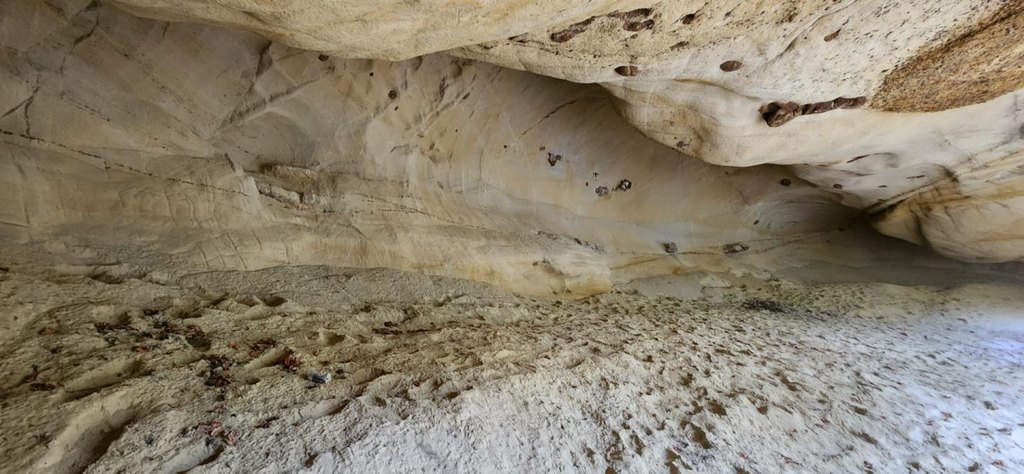 Picture 15