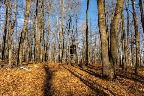 Pine River Hunting and Recreation