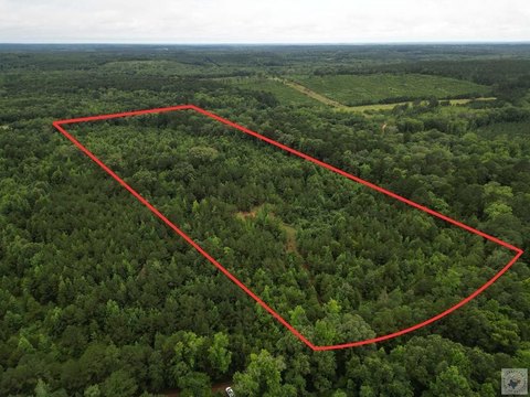 Timberland with Homesite Potential