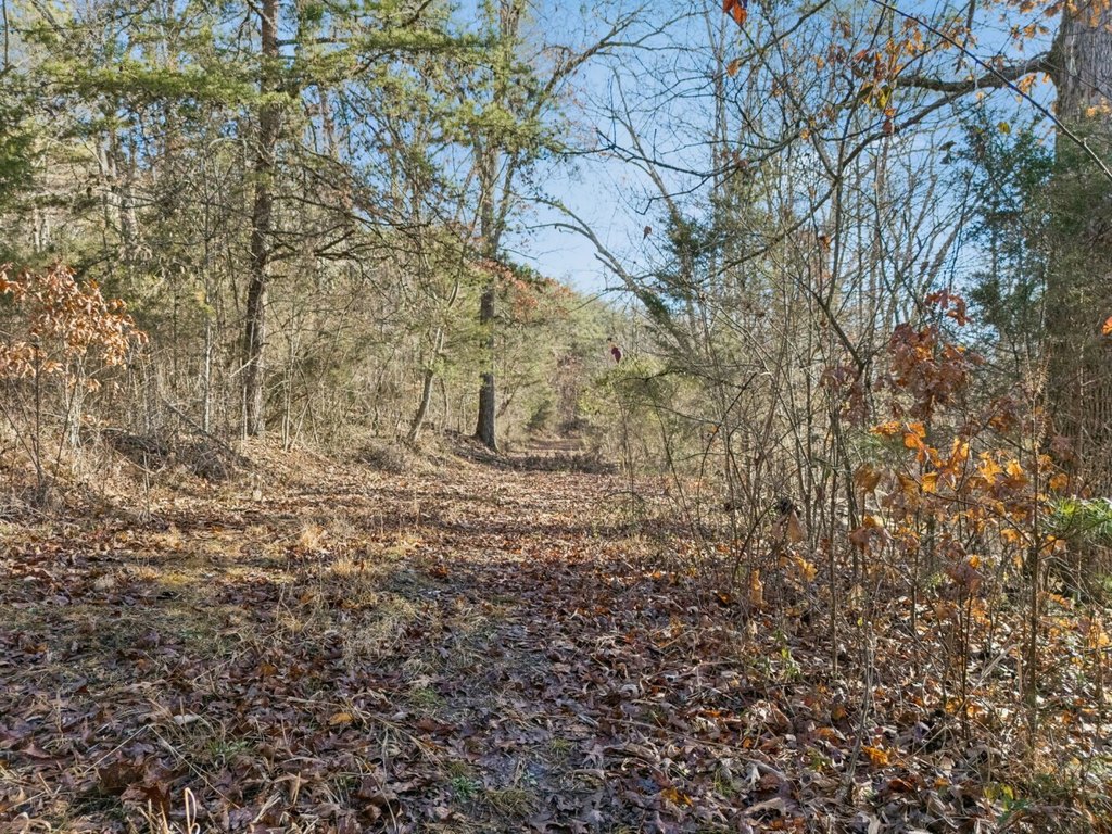 Picture 27