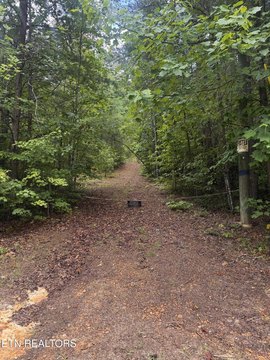 Land Near Smoky Mountains