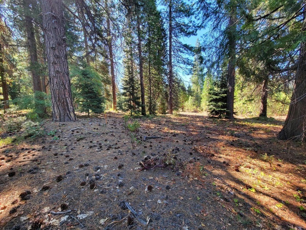 Picture 13