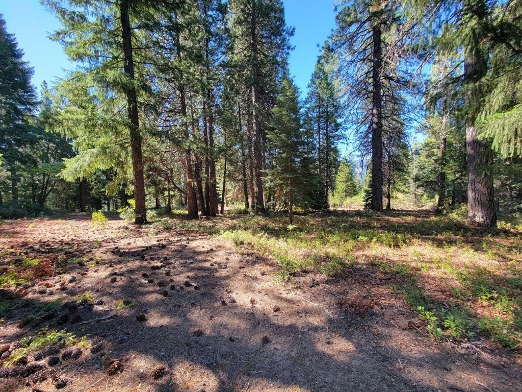Picture 12