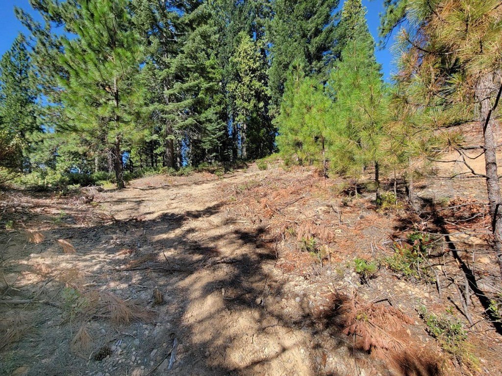 Picture 3