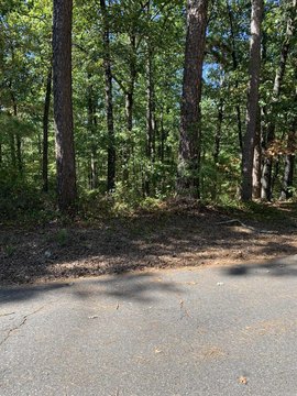 Vacant Land, Hot Springs Village, AR