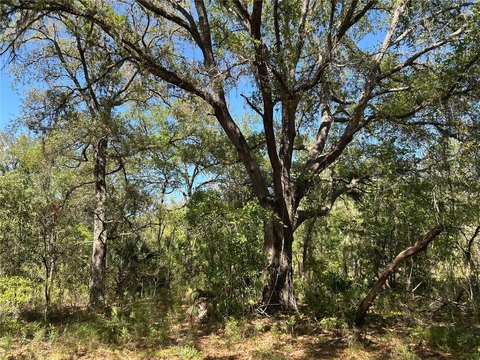 Residential Land Parcel with Flexibility