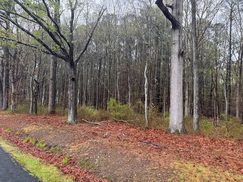 Wooded Lot Near Pitts Creek