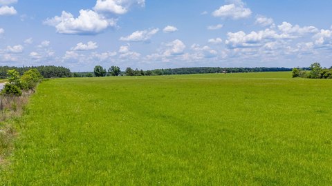 Pasture Land in DeFuniak Springs