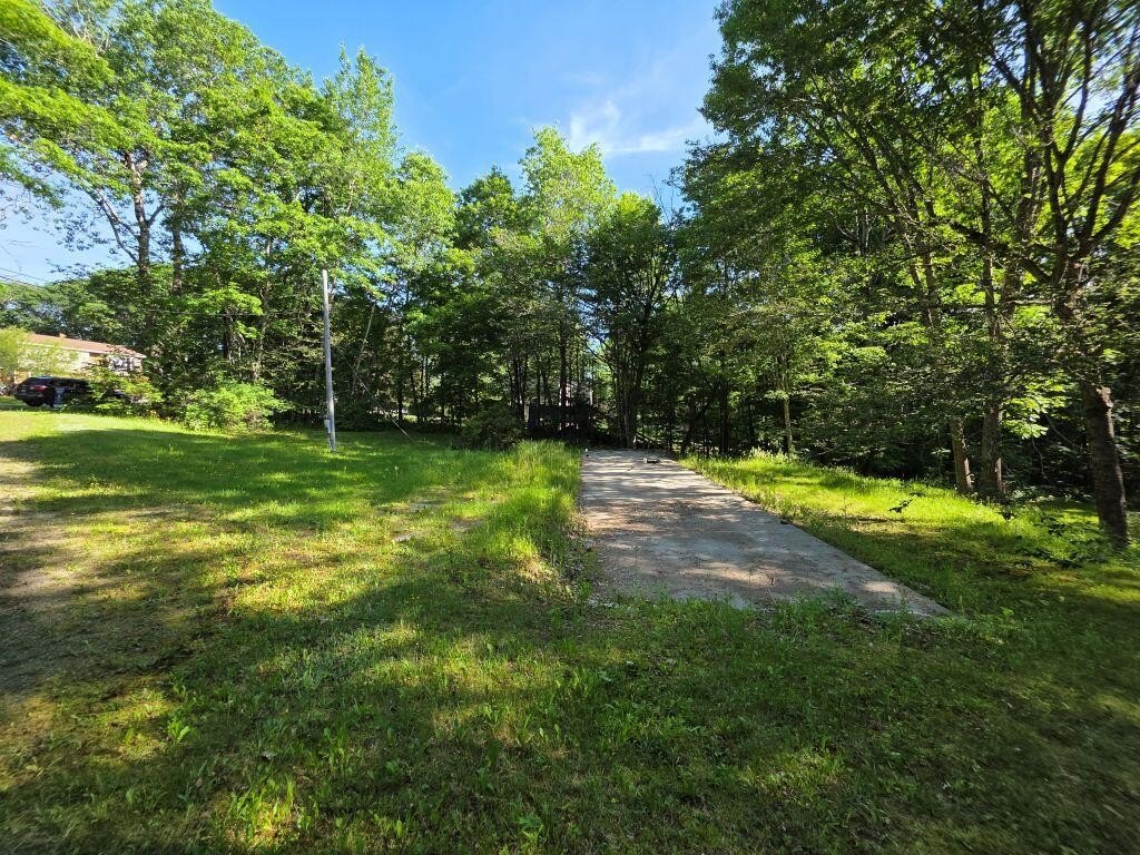 Picture 4
