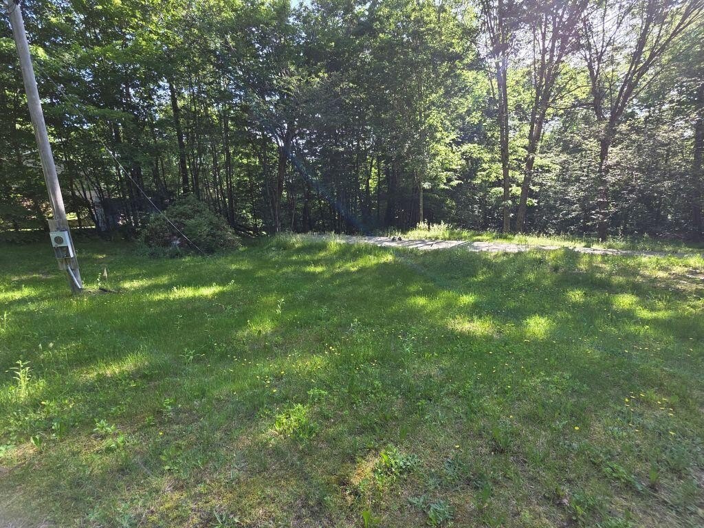 Picture 3