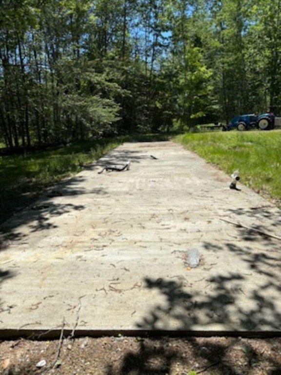 Picture 5