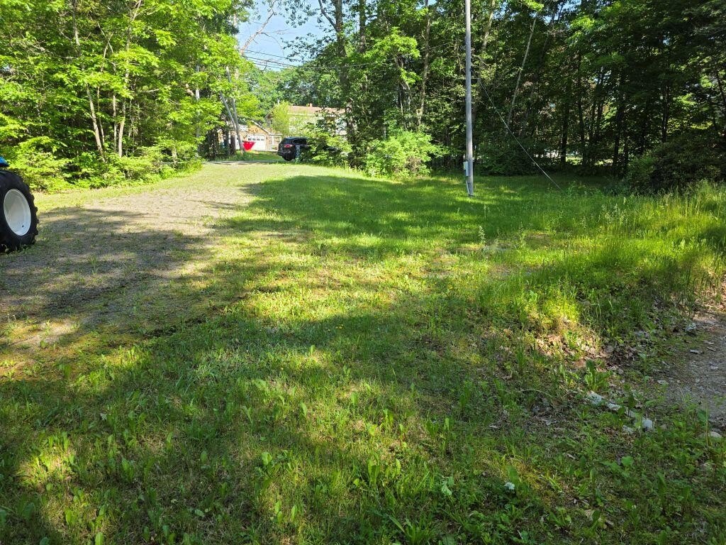 Picture 8