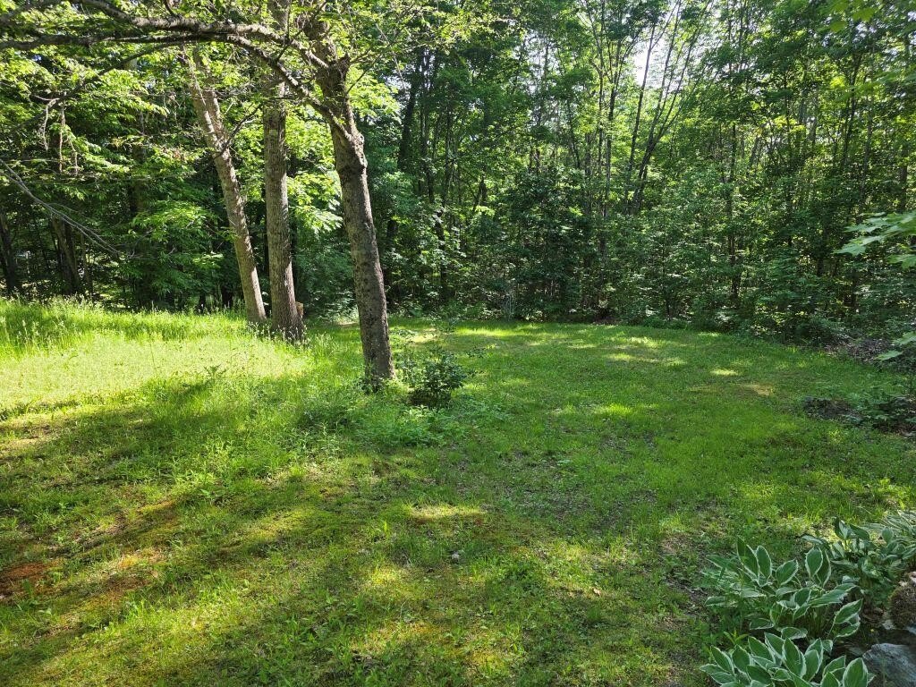 Picture 7