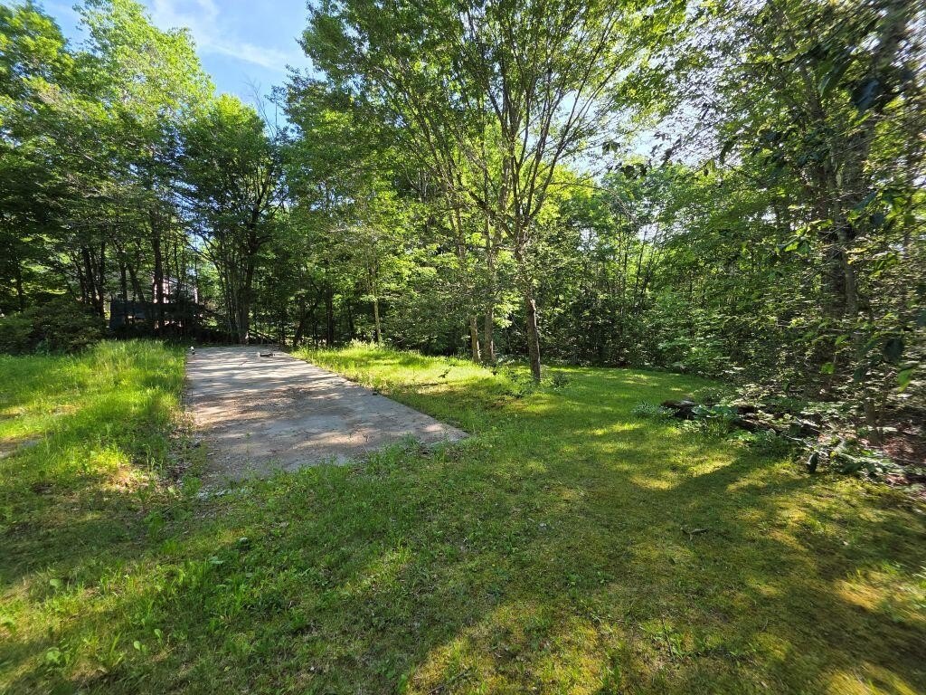 Picture 5