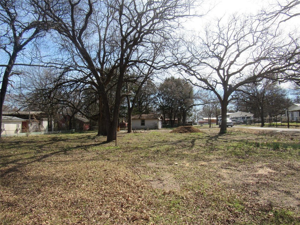 Picture 14