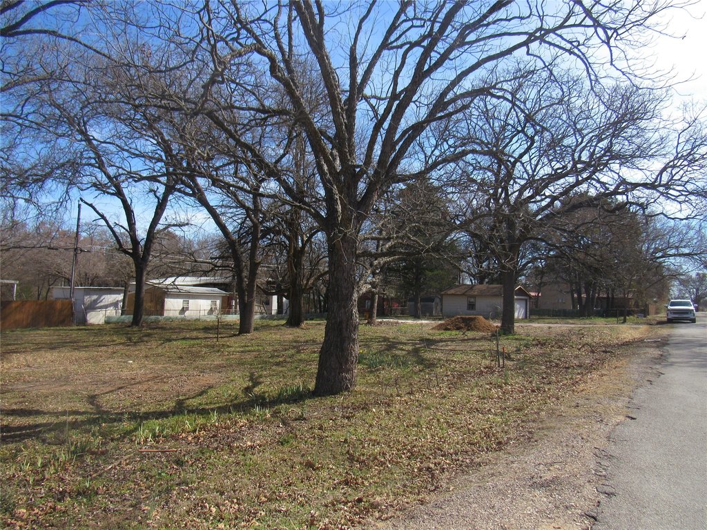 Picture 16