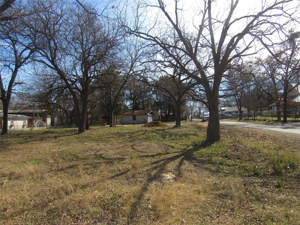 Picture 13