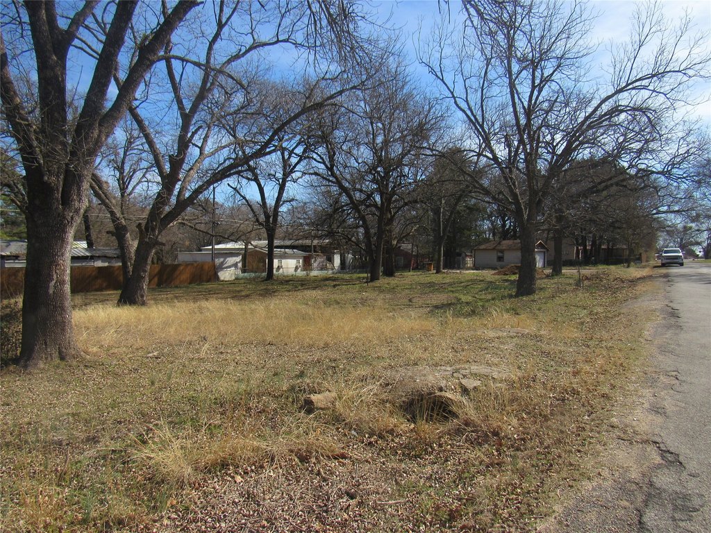Picture 11