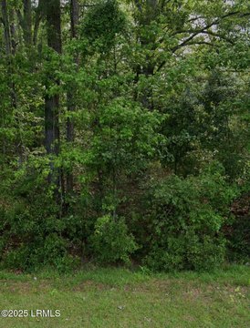 Residential Land in Seabrook, SC
