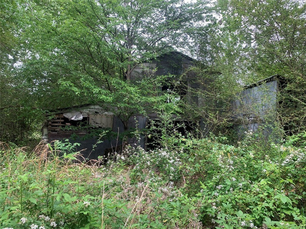 Picture 20