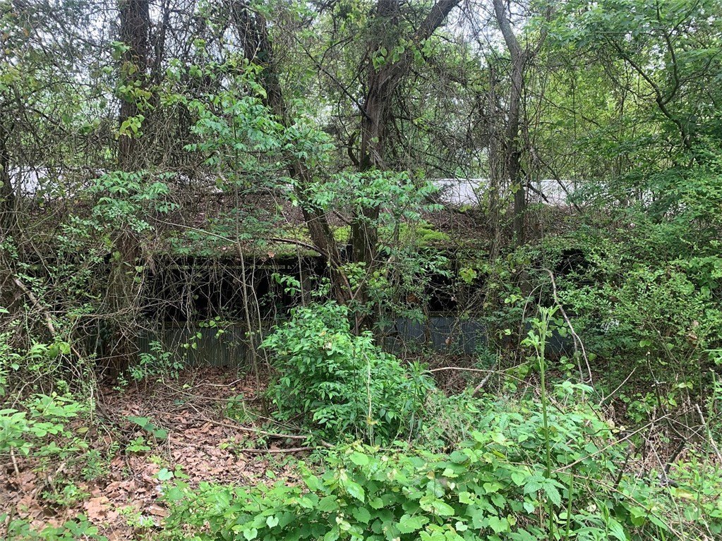 Picture 21