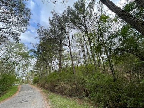 Land in Haleyville, Alabama