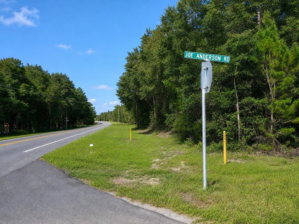 Picture 21