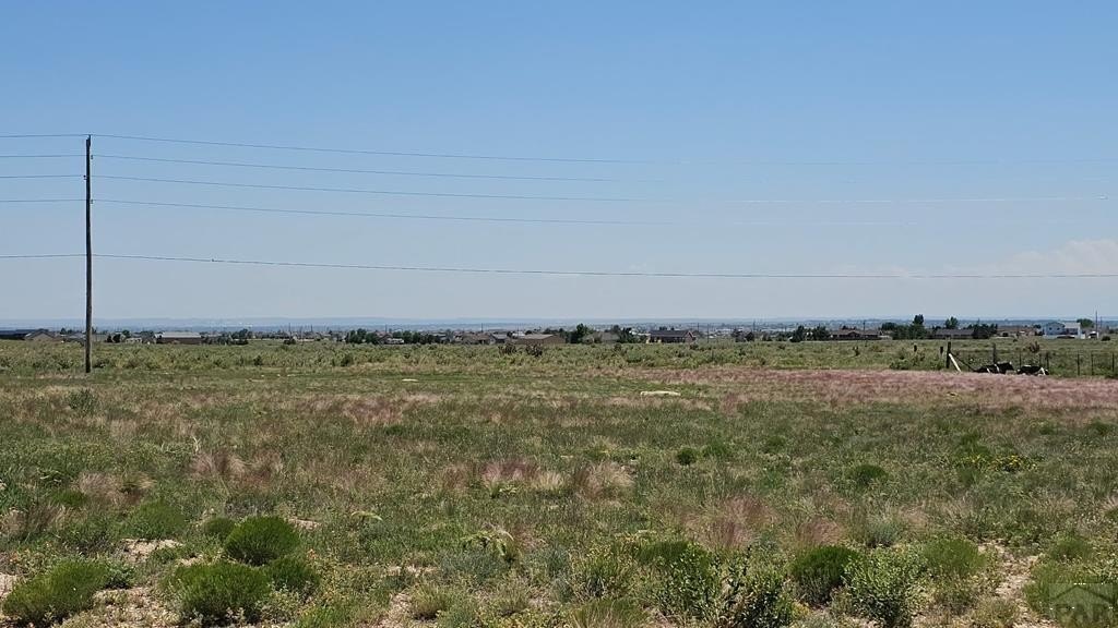 Picture 3