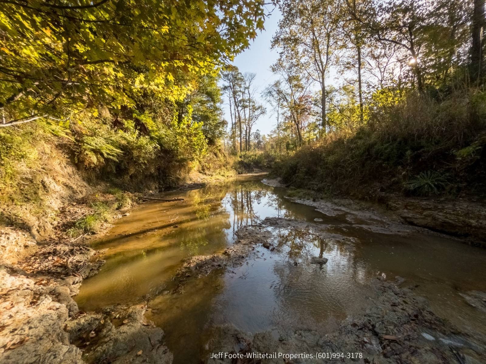 189 Acres of Recreational Timberland