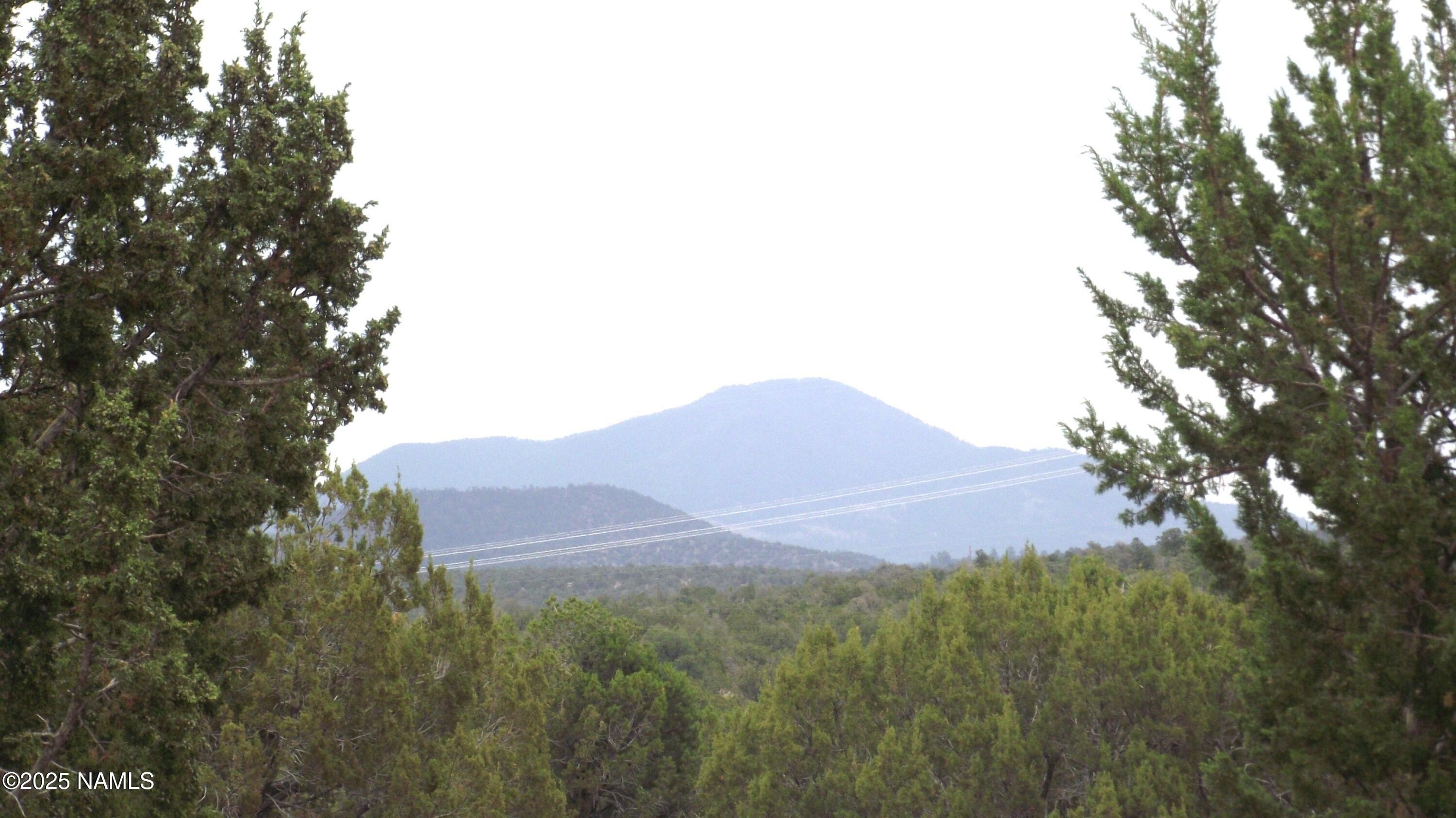 Heavily Treed Land with Upgrades