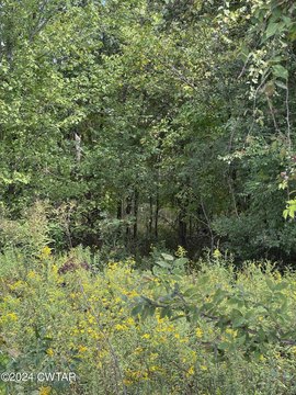 Picture of Land at Charlie Lewis Rd 444, Trenton, TN