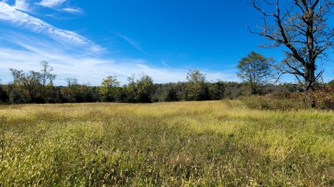 Expansive Flemingsburg Acreage For Sale