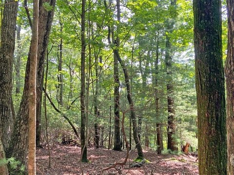 Land, Dahlonega, GA