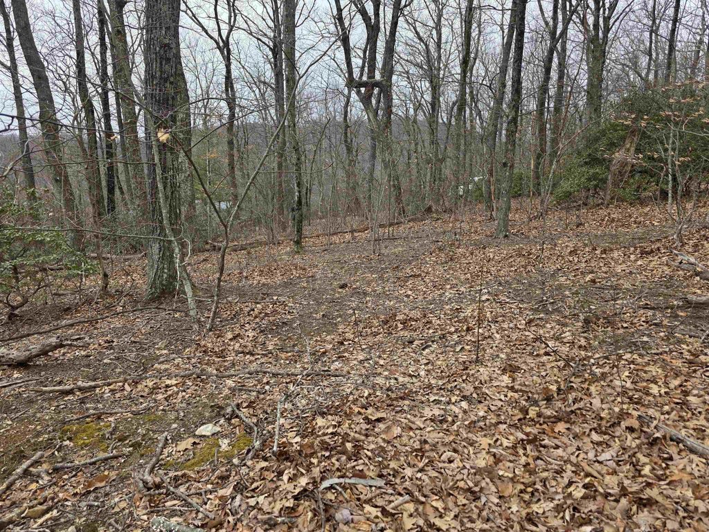 Picture 14