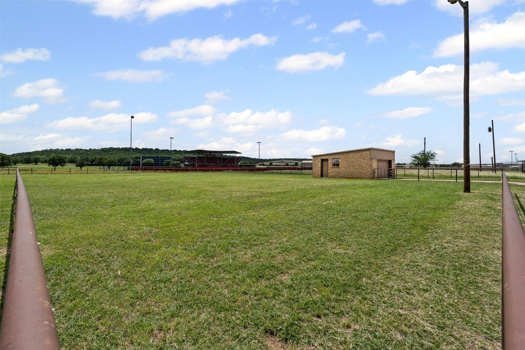 Picture 19