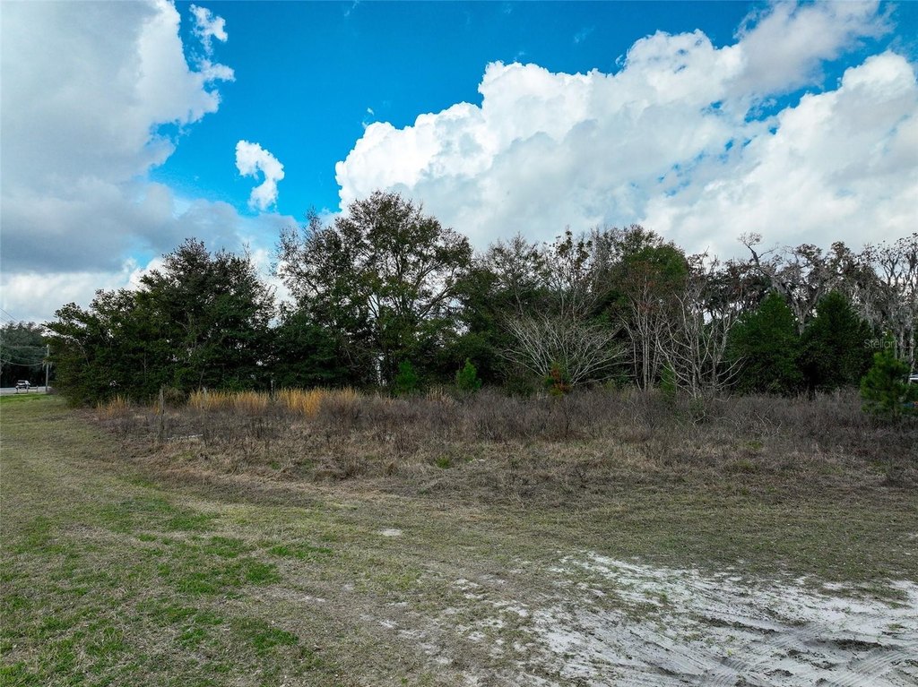 Picture 18