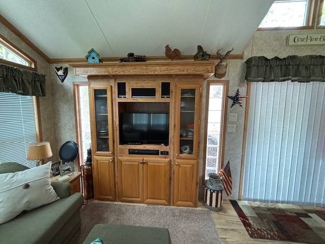 Picture 3